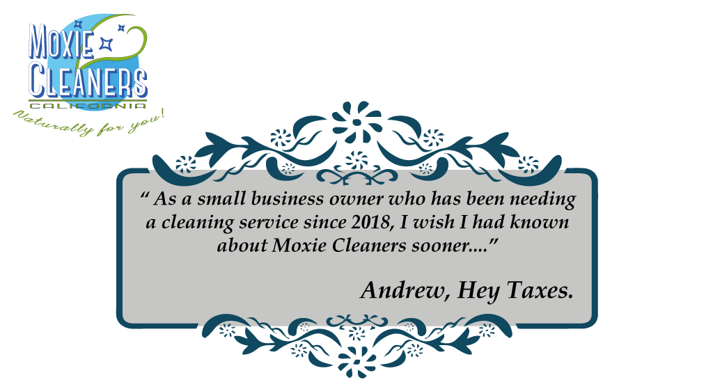 House Cleaning Testimonial 2