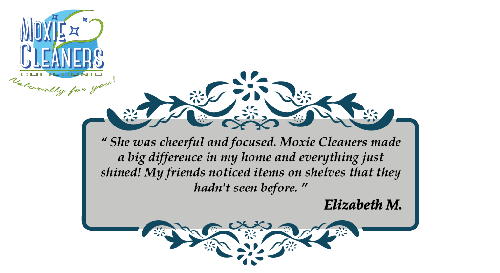 House Cleaning Testimonial 4