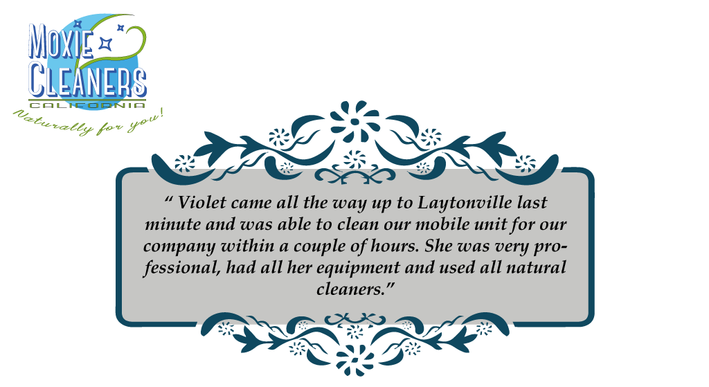 House Cleaning Testimonial 5